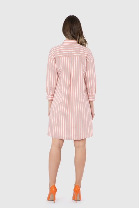 Gizia Stripe Detailed Print Detailed Pink Dress. 1