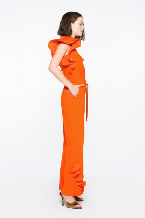 Gizia Orange Crop Blouse With Flywheel Sleeve Detail Embroidered Hidden Zipper. 3