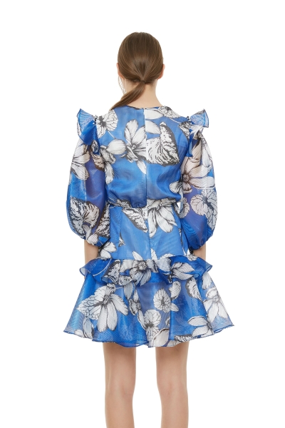 Gizia Flounce And Frill Detailed Embroidered Mini Dress. 3